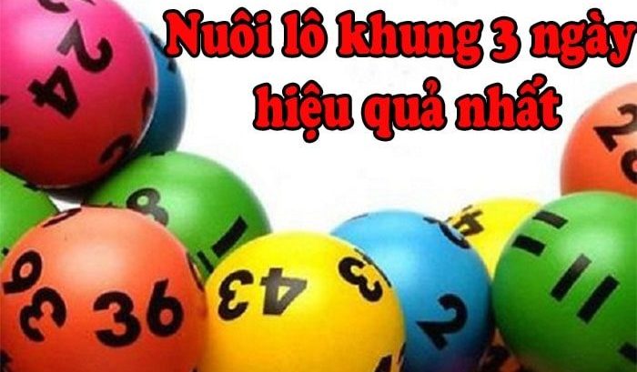 Cách phân bố vốn nuôi lô 3 ngày hiệu quả